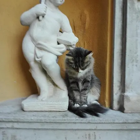 Vendégház Torretta