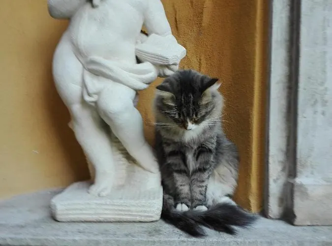 Гостевой дом Torretta